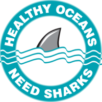 NoWASharkCull Thumbnail